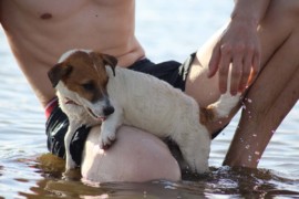 IMG 0611